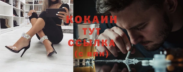 прущая мука Арсеньев