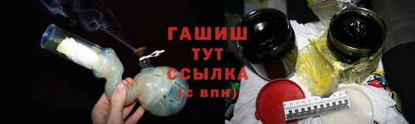 шишки Покачи
