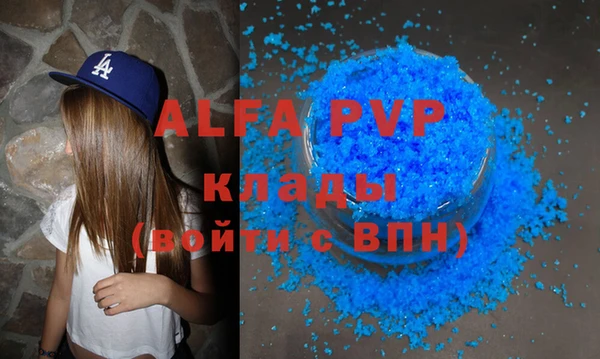 шишки Покачи
