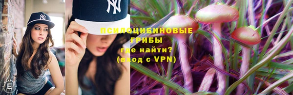прущая мука Арсеньев