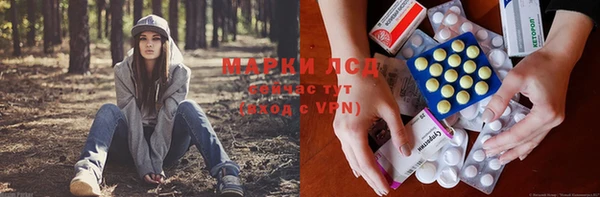 амф Аркадак