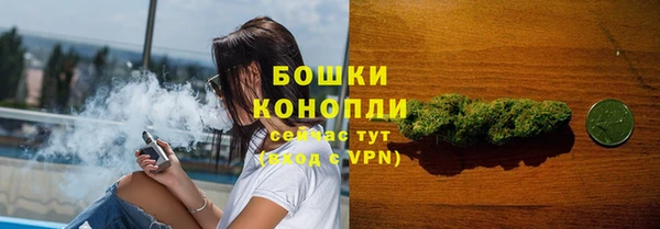 амф Аркадак